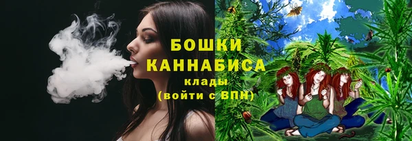 PSILOCYBIN Армянск