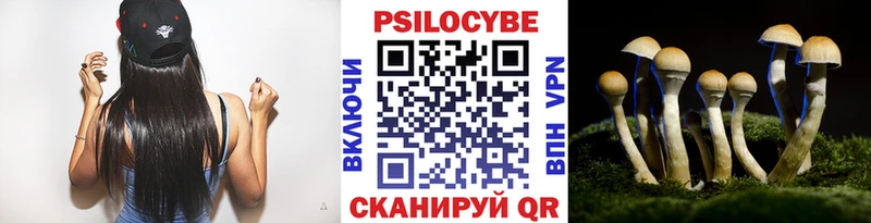 площадка клад  Белово  Псилоцибиновые грибы ЛСД  OMG tor 